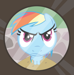 Size: 3400x3467 | Tagged: safe, artist:phucknuckl, derpibooru import, rainbow dash, pegasus, pony, female, fisheye lens, looking at you, mare, peep hole, solo, unamused