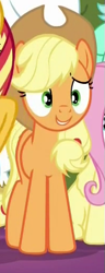 Size: 197x511 | Tagged: safe, screencap, applejack, bulk biceps, fluttershy, lyra heartstrings, sunset shimmer, earth pony, pony, better together, equestria girls, spring breakdown, applejack's hat, cowboy hat, cropped, equestria girls ponified, hat, offscreen character, ponified, smiling