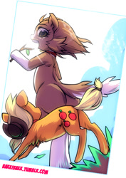 Size: 495x700 | Tagged: safe, artist:bakki, applejack, winona, dog, earth pony, pony, semi-anthro, 30 minute art challenge, appledog, bipedal, chest fluff, collar, dogified, female, fluffy, grass, leg fluff, looking up, mare, open mouth, plot, ponified, role reversal, smiling, species swap, stick