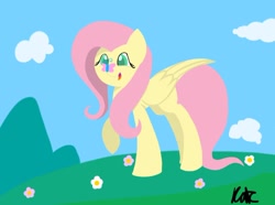 Size: 1024x763 | Tagged: safe, artist:duskanddashie, fluttershy, butterfly, pegasus, pony, open mouth, raised hoof, smiling, solo