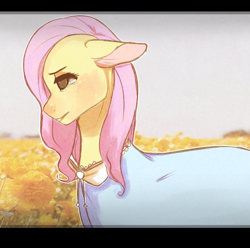 Size: 980x973 | Tagged: safe, artist:toybird, fluttershy, pegasus, pony, cloak, clothes, solo