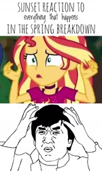 Size: 851x1417 | Tagged: safe, edit, edited screencap, screencap, sunset shimmer, better together, equestria girls, spring breakdown, dead meme, jackie chan, meme