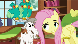 Size: 1920x1080 | Tagged: safe, screencap, fluttershy, bird, goat, parrot, pegasus, pony, castle sweet castle, animal, female, flock, leaning forward, lidded eyes, mare, out of context, perching, popinjay, spread wings, wings