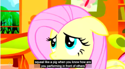 Size: 853x472 | Tagged: safe, edit, edited screencap, screencap, fluttershy, pegasus, pony, caption, meme, out of context, youtube caption