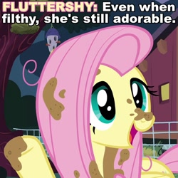 Size: 720x720 | Tagged: safe, screencap, fluttershy, pegasus, pony, castle sweet castle, caption, cute, dirt, dirty, filthy, hot mess, image macro, mud, open mouth, raised hoof, smiling, solo