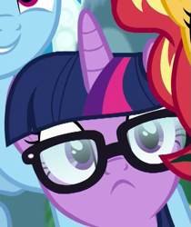 Size: 533x634 | Tagged: safe, screencap, rainbow dash, sci-twi, sunset shimmer, twilight sparkle, earth pony, pegasus, pony, unicorn, better together, equestria girls, spring breakdown, :<, cropped, cute, equestria girls ponified, female, glasses, grin, male, mare, offscreen character, smiling, solo focus, stallion, twiabetes, unicorn sci-twi, wide eyes