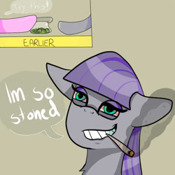 Size: 1000x1000 | Tagged: safe, artist:kennyteya, maud pie, pinkie pie, earth pony, pony, drugs, marijuana, pun, red eyes, stoned