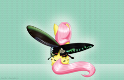 Size: 1275x825 | Tagged: safe, artist:rainbow-smashed, fluttershy, pegasus, pony, butterfly wings, female, mare, solo