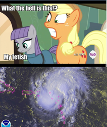 Size: 360x425 | Tagged: safe, applejack, maud pie, earth pony, pony, cargo ship, crack shipping, fetish, forced meme, hurricane, hurricane gonzalo, maudzalo, meme, obligatory pony, op is a cuck, shipping, wat