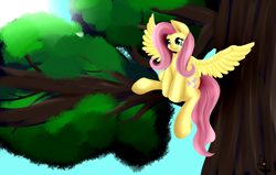 Size: 6250x3968 | Tagged: safe, artist:iblisart, fluttershy, pegasus, pony, female, mare, solo, tree
