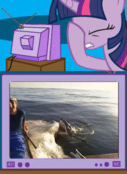 Size: 563x771 | Tagged: safe, derpibooru import, twilight sparkle, great white shark, shark, whale, carcass, exploitable meme, facehoof, meme, natural selection, obligatory pony, science, stupidity, tv meme, youtube link