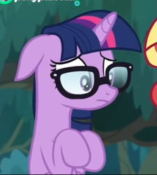 Size: 587x652 | Tagged: safe, screencap, sci-twi, sunset shimmer, twilight sparkle, pony, unicorn, better together, equestria girls, spring breakdown, cropped, cute, equestria girls ponified, floppy ears, glasses, ponified, sad, sadorable, twiabetes, unicorn sci-twi