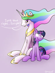 Size: 1200x1600 | Tagged: safe, artist:conicer, princess celestia, twilight sparkle, alicorn, pony, doll, female, grin, implied twilestia, insanity, lesbian, mare, plushie, shipping, sitting, smiling, solo, speech bubble, toy, twidoll, twilestia, wide eyes