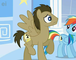 Size: 414x330 | Tagged: safe, derpibooru import, screencap, doctor whooves, rainbow dash, pegasus, pony, sonic rainboom (episode), cropped, male, stallion