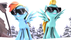 Size: 1920x1080 | Tagged: safe, artist:shamperin0, derpibooru import, lightning dust, rainbow dash, pegasus, pony, 3d, outdoors, smiling, snow, source filmmaker, sunglasses, swag, tree