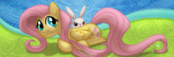 Size: 1200x400 | Tagged: safe, artist:1trick, angel bunny, fluttershy, pegasus, pony, rabbit, animal, female, mare, prone