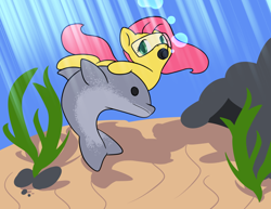 Size: 1024x792 | Tagged: safe, artist:afk-qt, fluttershy, dolphin, pegasus, pony, cute, scuba, underwater, watershy