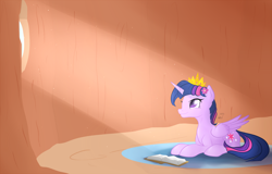 Size: 1602x1024 | Tagged: safe, artist:blastdown, derpibooru import, twilight sparkle, twilight sparkle (alicorn), alicorn, pony, twilight time, book, crepuscular rays, female, flower, mare, new crown, prone, smiling, solo, window