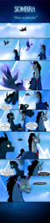 Size: 1978x8605 | Tagged: safe, artist:yula568, derpibooru import, king sombra, oc, oc:reeky, pony, unicorn, comic, crossover, disney, maleficent, scene interpretation