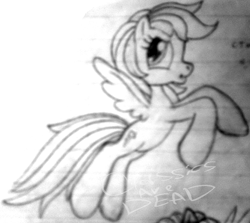 Size: 732x653 | Tagged: safe, artist:colossalstinker, derpibooru import, rainbow dash, pegasus, pony, g3.5, g4 to g3.5, generation leap, monochrome, solo, traditional art