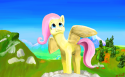 Size: 900x556 | Tagged: safe, artist:monsieurmcpherson, fluttershy, pegasus, pony, female, mare, pink mane, solo, yellow coat