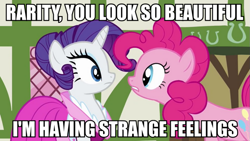 Size: 889x500 | Tagged: safe, screencap, pinkie pie, rarity, earth pony, pony, unicorn, female, image macro, lesbian, meme, raripie, shipping