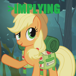 Size: 600x600 | Tagged: safe, screencap, applejack, earth pony, pony, sleepless in ponyville, implying, meme