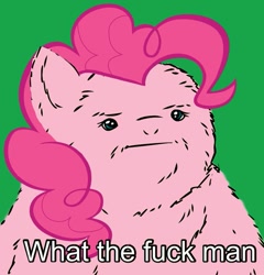 Size: 615x640 | Tagged: safe, pinkie pie, earth pony, pony, image macro, meme, reaction image, text, vulgar, what the fuck man, wtf