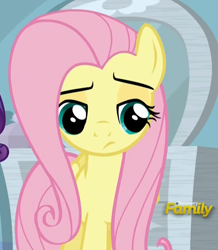 Size: 809x927 | Tagged: safe, screencap, fluttershy, pegasus, pony, tanks for the memories, discovery family, discovery family logo, logo, solo