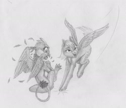 Size: 3003x2566 | Tagged: safe, artist:joestick, derpy hooves, gabby, griffon, pegasus, pony, female, monochrome