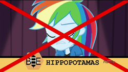 Size: 1366x768 | Tagged: safe, derpibooru import, screencap, rainbow dash, hippopotamus, acadeca, equestria girls, friendship games, embarrassed, fail, female, misspelling, spelling bee