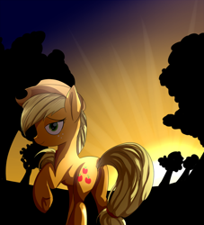 Size: 1090x1203 | Tagged: safe, artist:mercurycraft7, applejack, earth pony, pony, looking back, plot, raised hoof, smiling, solo, sunset