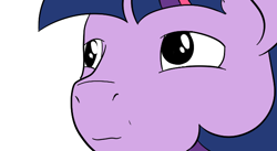 Size: 640x350 | Tagged: artist needed, safe, derpibooru import, twilight sparkle, jontron, nightshade: the claws of heugh, reaction image, solo