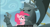 Size: 1600x855 | Tagged: safe, screencap, king grover, pinkie pie, earth pony, griffon, pony, the lost treasure of griffonstone, groverpie, lidded eyes, lyra bait, meme, statue, youtube caption