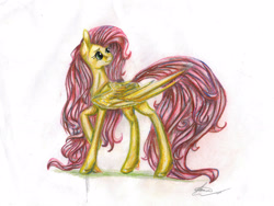 Size: 2852x2145 | Tagged: safe, artist:manu-nya, fluttershy, pegasus, pony, looking back, raised hoof, simple background, solo, traditional art