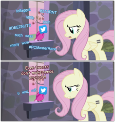 Size: 869x919 | Tagged: safe, artist:grievousfan, fluttershy, bird, the cutie map, bruh, carmen, deez nuts, doge, equal cutie mark, equalized, even tweets don't make sense anymore, faggot, meme, pc master race, slur, turnt, twitter, u wot m8, vulgar