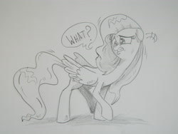 Size: 4320x3240 | Tagged: safe, artist:saturdaymorningproj, fluttershy, pegasus, pony, monochrome, solo, traditional art