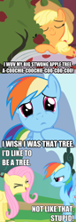 Size: 450x1302 | Tagged: safe, derpibooru import, edit, screencap, applejack, bloomberg, fluttershy, rainbow dash, earth pony, pegasus, pony, appledash, female, fluttertree, i'd like to be a tree, image macro, lesbian, meme, screencap comic, shipping