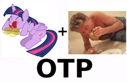 Size: 736x477 | Tagged: safe, artist:jeatz-axl, derpibooru import, twilight sparkle, twilight sparkle (alicorn), alicorn, pony, burger, david hasselhoff, exploitable meme, female, food, hamburger, hay burger, mare, meme, messy eating, otp, shipping, twilight burgkle