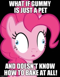 Size: 460x593 | Tagged: safe, pinkie pie, earth pony, pony, conspiracy pinkie, derp, exploitable meme, image macro, meme, wut if gummy wuz a meme