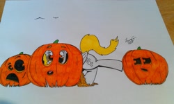 Size: 3264x1952 | Tagged: safe, artist:lucas_gaxiola, derpy hooves, pegasus, pony, female, halloween, holiday, irl, jack-o-lantern, mare, photo, pumpkin, solo, traditional art