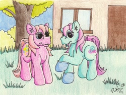 Size: 2092x1582 | Tagged: safe, artist:kohala8, minty, pinkie pie, earth pony, pony, g3, clothes, socks, traditional art