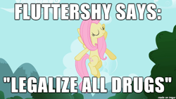 Size: 610x343 | Tagged: safe, screencap, fluttershy, pegasus, pony, drugs, image macro, meme, mouthpiece