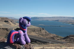 Size: 2816x1880 | Tagged: safe, artist:lovelylittlelemon, derpibooru import, twilight sparkle, irl, photo, plushie, ponies around the world, solo