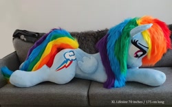 Size: 1412x880 | Tagged: safe, artist:epicrainbowcrafts, derpibooru import, rainbow dash, pegasus, pony, bedroom eyes, female, folded wings, irl, lidded eyes, life size, mare, photo, plushie, prone, sofa, wings