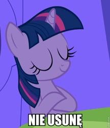 Size: 516x598 | Tagged: safe, derpibooru import, edit, twilight sparkle, caption, image macro, karachan, meme, polish, reaction image, roflbot, solo