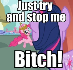 Size: 500x480 | Tagged: safe, derpibooru import, edit, edited screencap, screencap, pinkie pie, twilight sparkle, earth pony, pony, party of one, caption, image macro, meme, vulgar