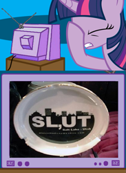 Size: 563x771 | Tagged: safe, derpibooru import, twilight sparkle, exploitable meme, facehoof, fail, failure, failure makes vulgar, meme, obligatory pony, salt lake city, slut, tv meme, utah, vulgar, you had one job