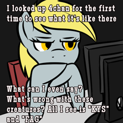 Size: 1024x1024 | Tagged: artist needed, source needed, safe, derpy hooves, pegasus, pony, 4chan, are you serious, computer screen, female, mare, meme, mouthpiece, normies, text, unamused, what's wrong with this place