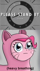 Size: 553x977 | Tagged: safe, artist:icebreak23, pinkie pie, earth pony, pony, catsuit, countdown, descriptive noise, fallout, fallout 4, heavy breathing, hype, meme, reaction image, solo, wide eyes